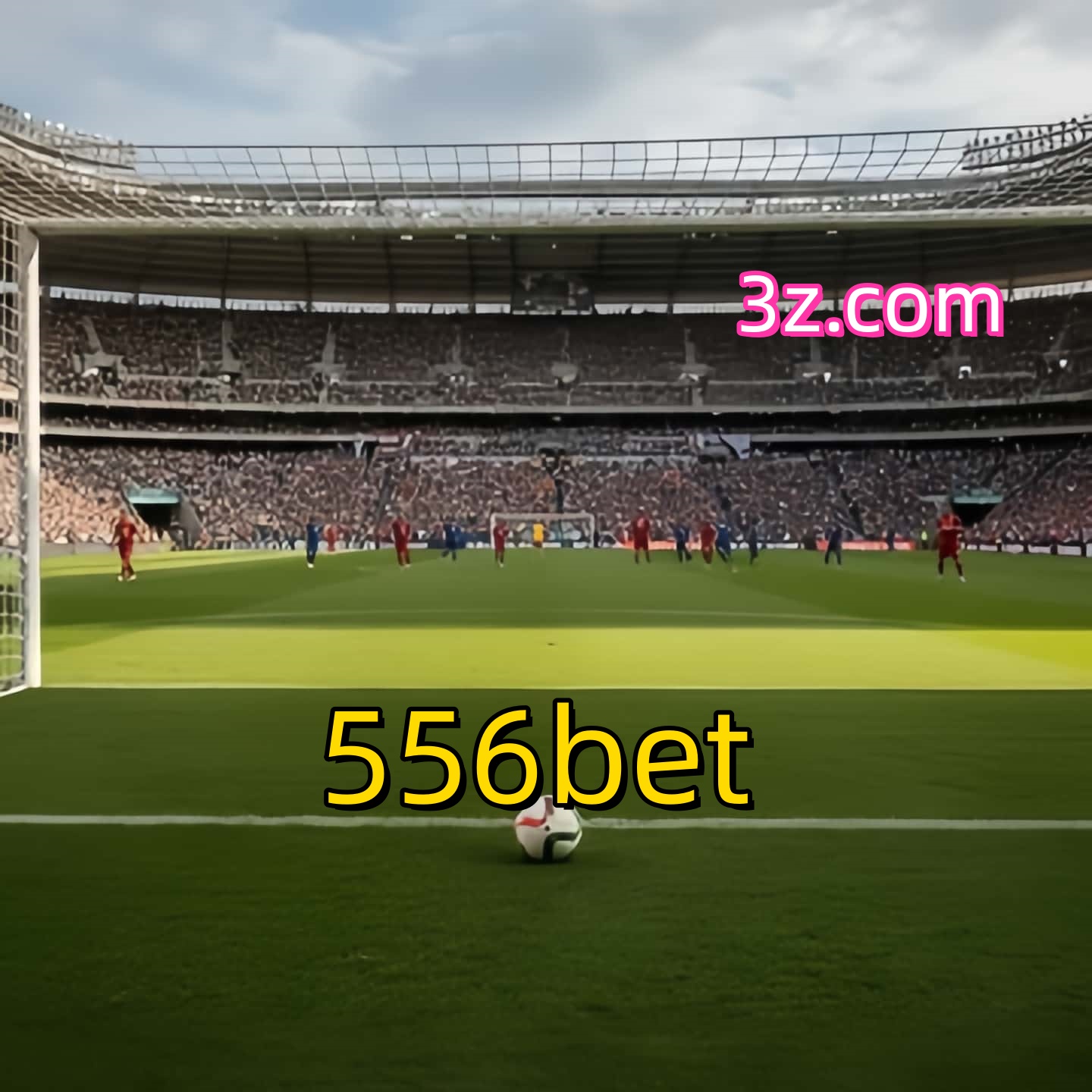 556bet